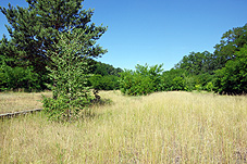 min 39 6.jpg min 39 6.jpg